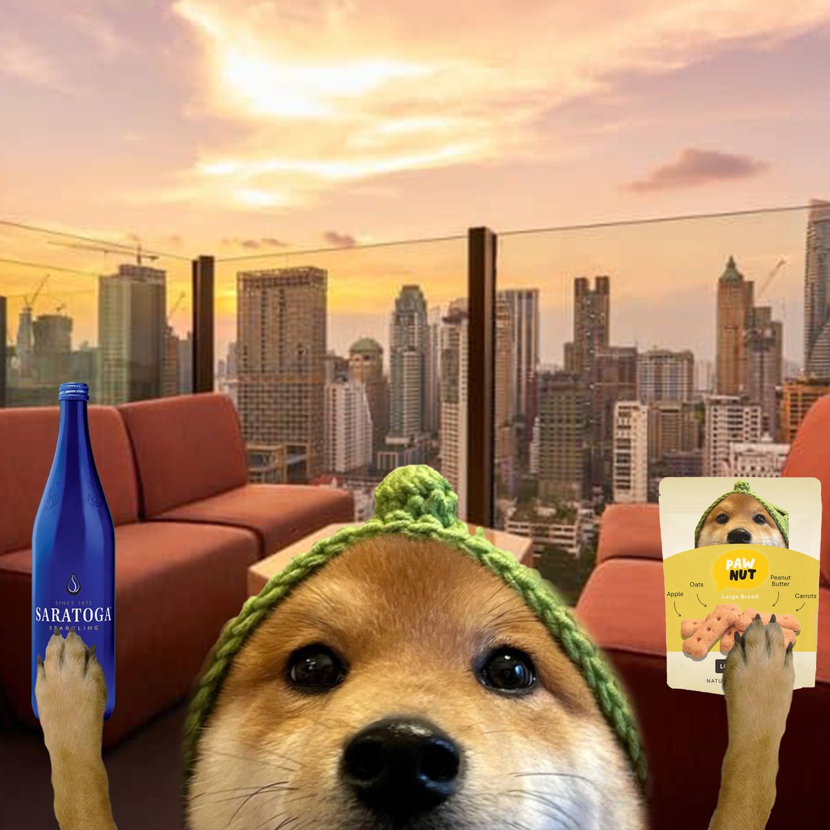 HelloLouChews's tweet photo. @CoyodyUgly @c_mami @Loucoinonsol We can provide snacks too https://t.co/iK0kVDcoe7