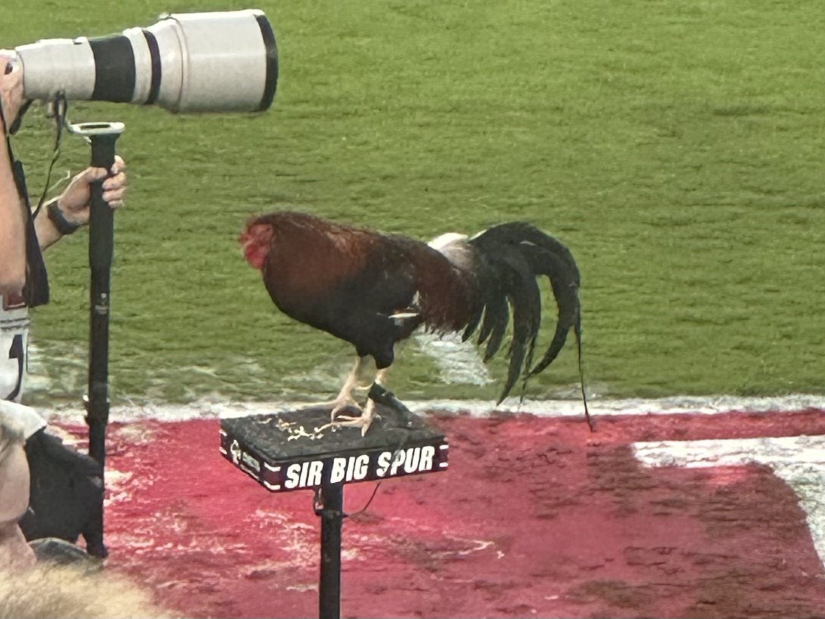 Erin Fox tweet media