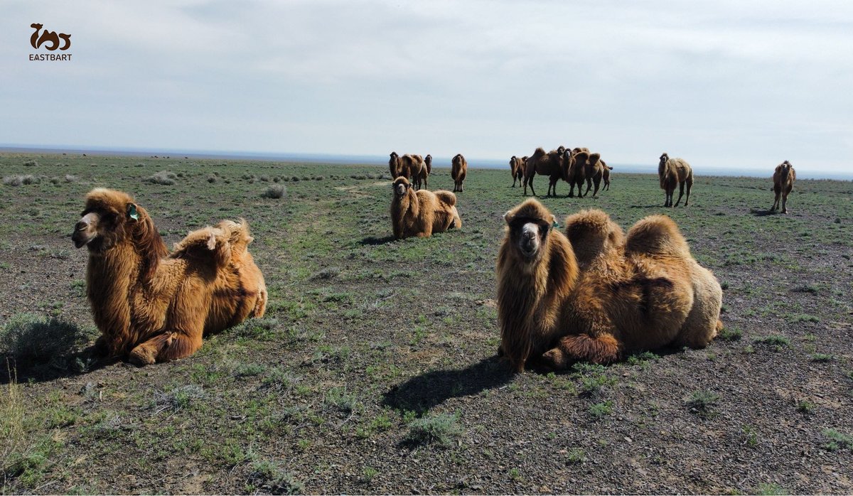 YiBaTe Biotechnology Co.,Ltd tweet media