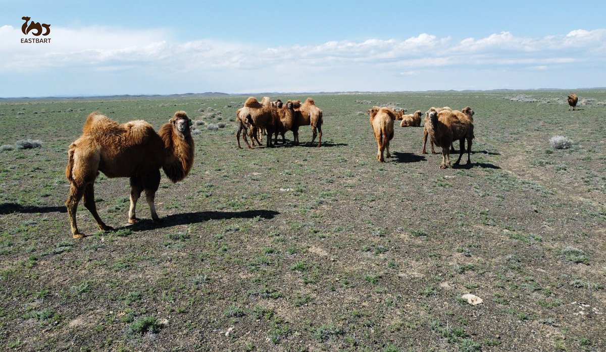 YiBaTe Biotechnology Co.,Ltd tweet media