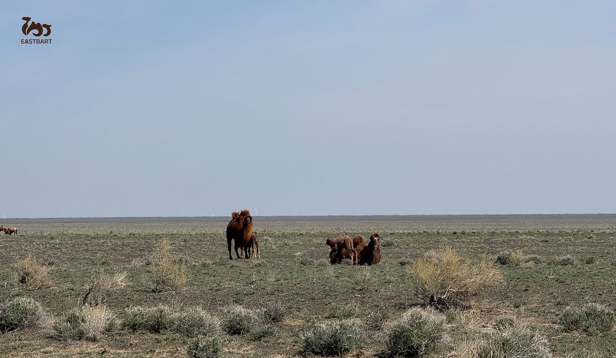 YiBaTe Biotechnology Co.,Ltd tweet media