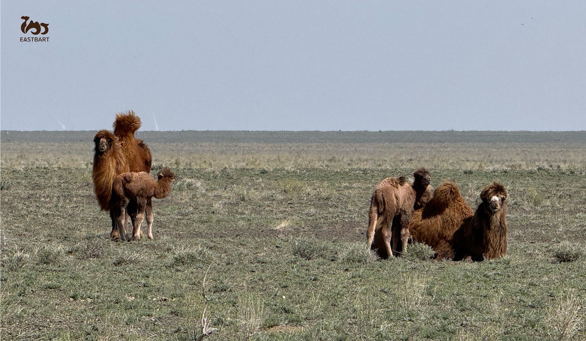 YiBaTe Biotechnology Co.,Ltd tweet media