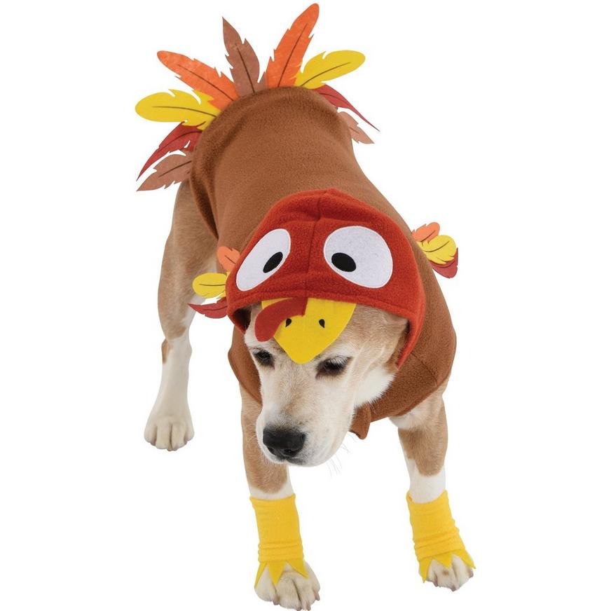 ChucksSucknFuck's tweet photo. @PatrickDusablon @KirstiMiller30 Quick question, what animal is this? https://t.co/NiDIC1PAYH