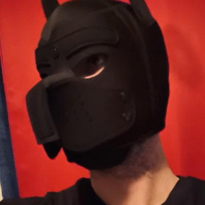 AlexandreMaheu2's tweet photo. #NouvellePhotoDeProfil https://t.co/ZjsNhO2Yz8