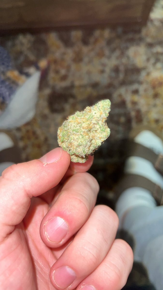 Rayshawn Smith III tweet media