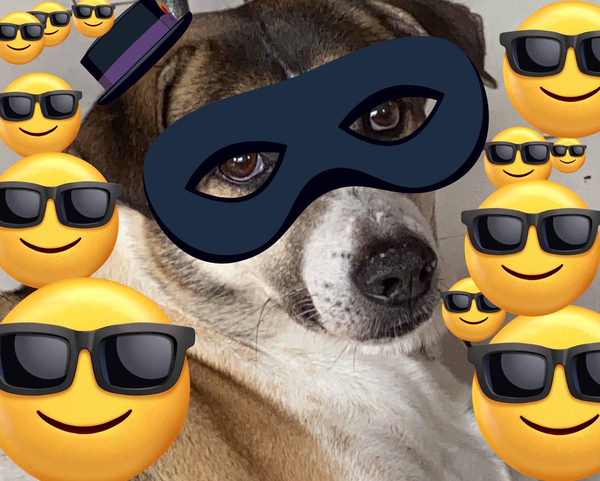 patchayaaa1's tweet image. จอมโจรกัดโหด 🤣🤣