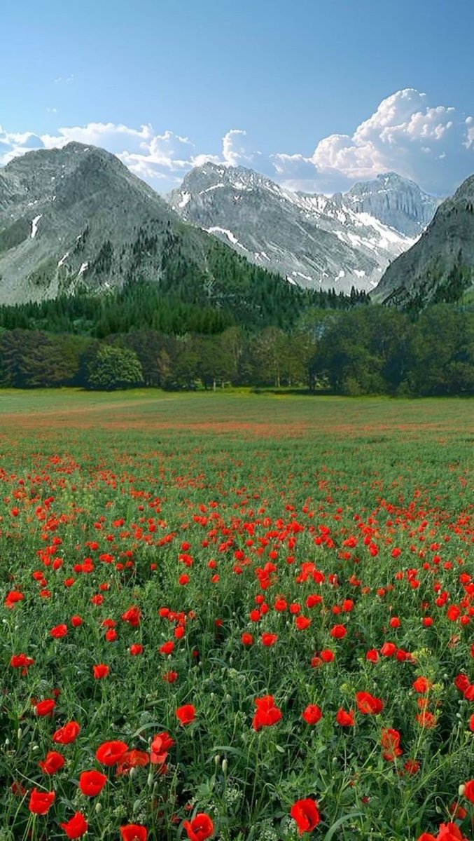 Good morning x family