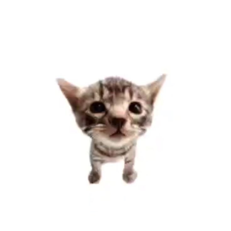 ⠀⠀
⠀⠀hey .
⠀⠀