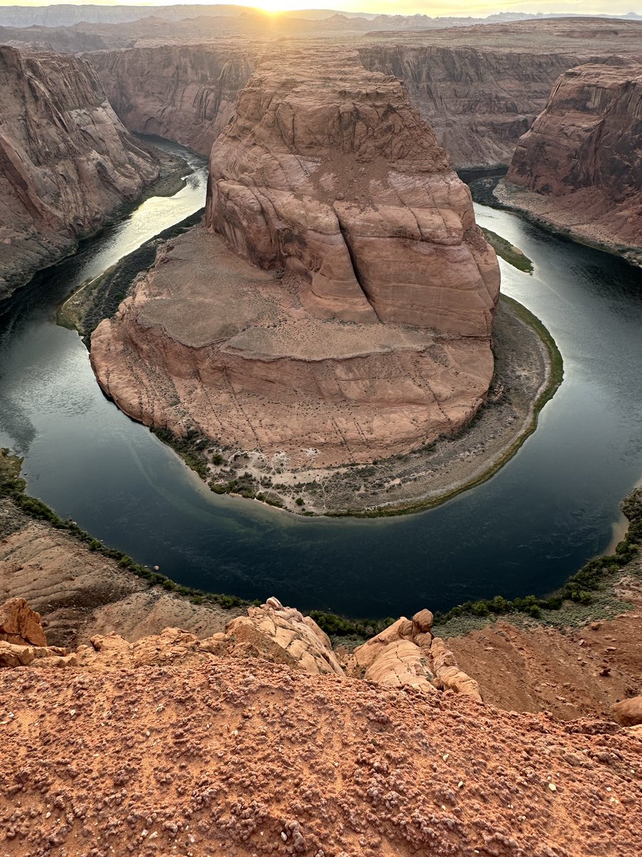 Mark Sutherland tweet media