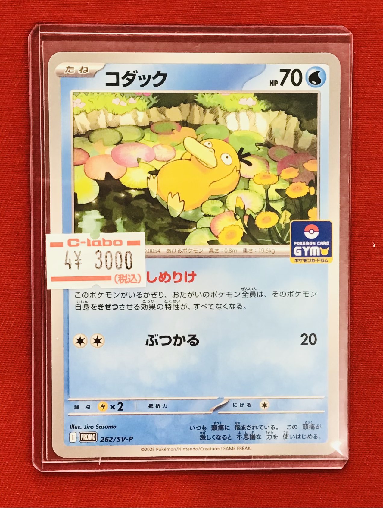 【超大量】ポケモンカード　コダックまとめ売り コダック 286/SM-P｜ポケカシングルカード通販｜Cloveストア