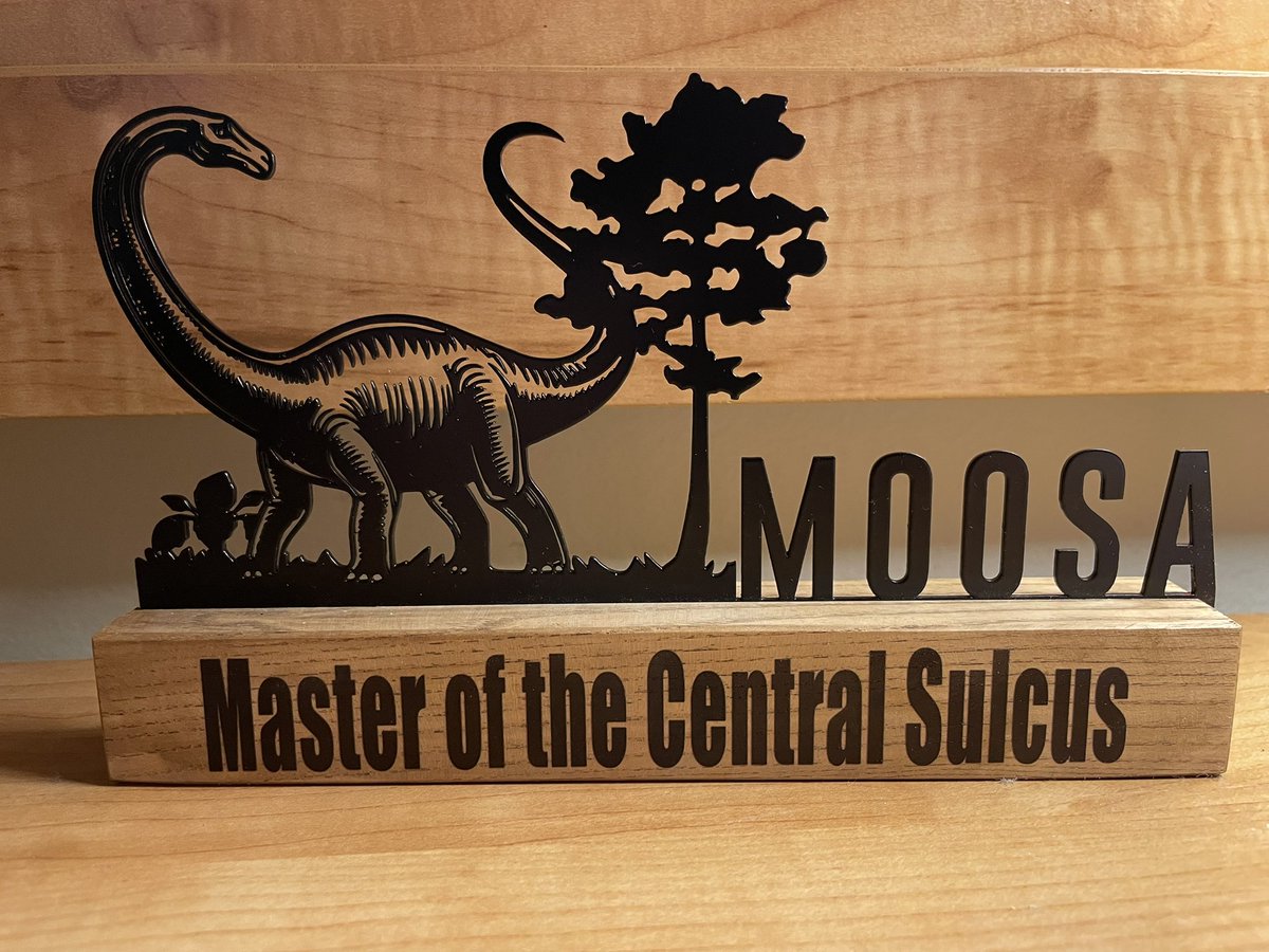 Ahsan Moosa Naduvil, MD 🧠⚡️ tweet media