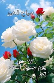 صاحب السعادة (@jalalarik) on Twitter photo 