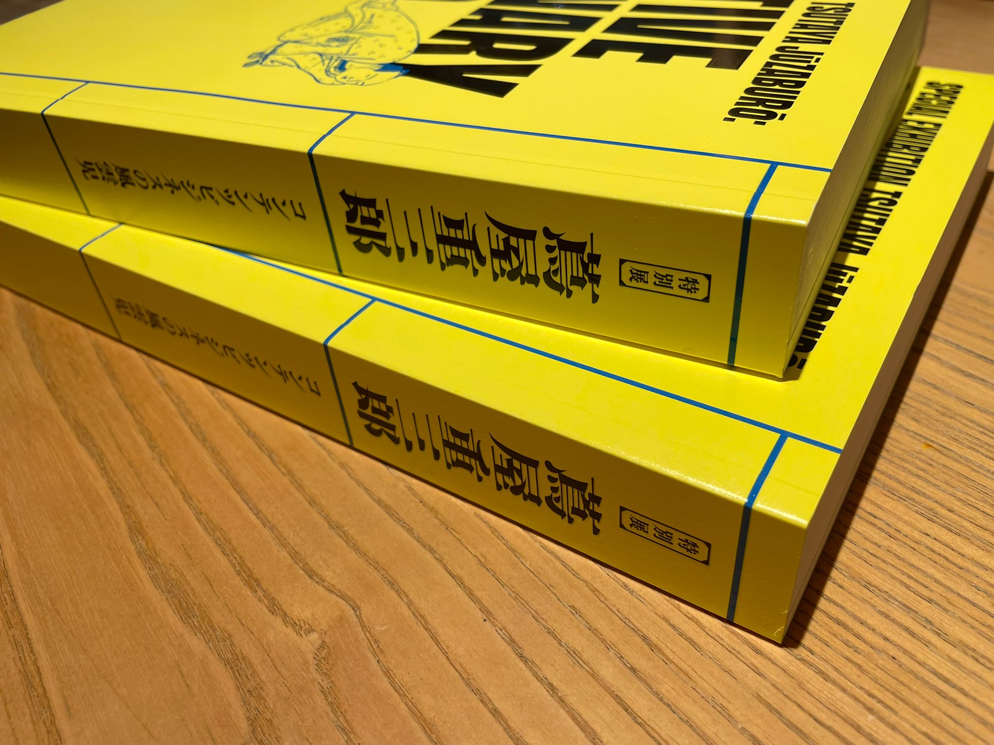 【ヒダカナオト】ソフビ ムウとシュウ２点セット（銀座 蔦屋書店限定カラー） ヒダカナオト】ソフビ ムウとシュウ2点セット（銀座 蔦屋書店