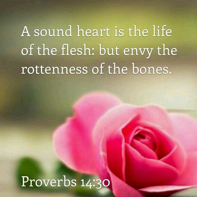 Michael65413248's tweet photo. (2/4) #John19:9-12 https://t.co/LgqkRPvBsZ
Commentaries by #StAugustine & #StTheophylact
And though a man ought Not to kill another even from Fear, especially an Innocent man, yet to do so from Envy is much worse. #StAugustine
Avoid the Envious! #Proverbs14:30 https://t.co/iJPCbDsQHL