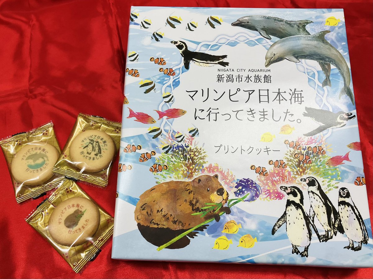 marinepiaheart's tweet image. 🌟新商品🌟
マリンピア日本海に行ってきました。
プリントクッキー 21枚入り
もうすぐ大型連休がやってきます😄
マリンピア日本海に来たお土産におすすめのプリントクッキーです🐬✨
クッキーは可愛いオリジナルプリント入りで小分けにしても配る事も❤️
#マリンピア日本海
#オリジナル