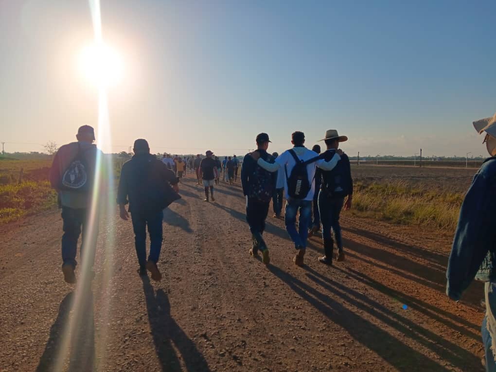 FEU UPR ✊💚 tweet media