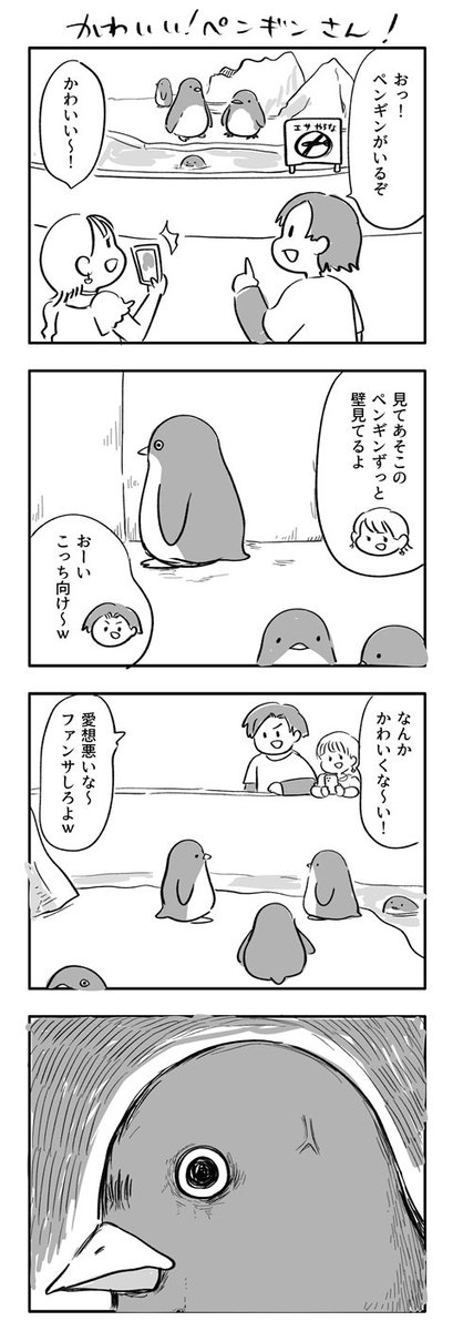 かわいい！ペンギンさん🐧
