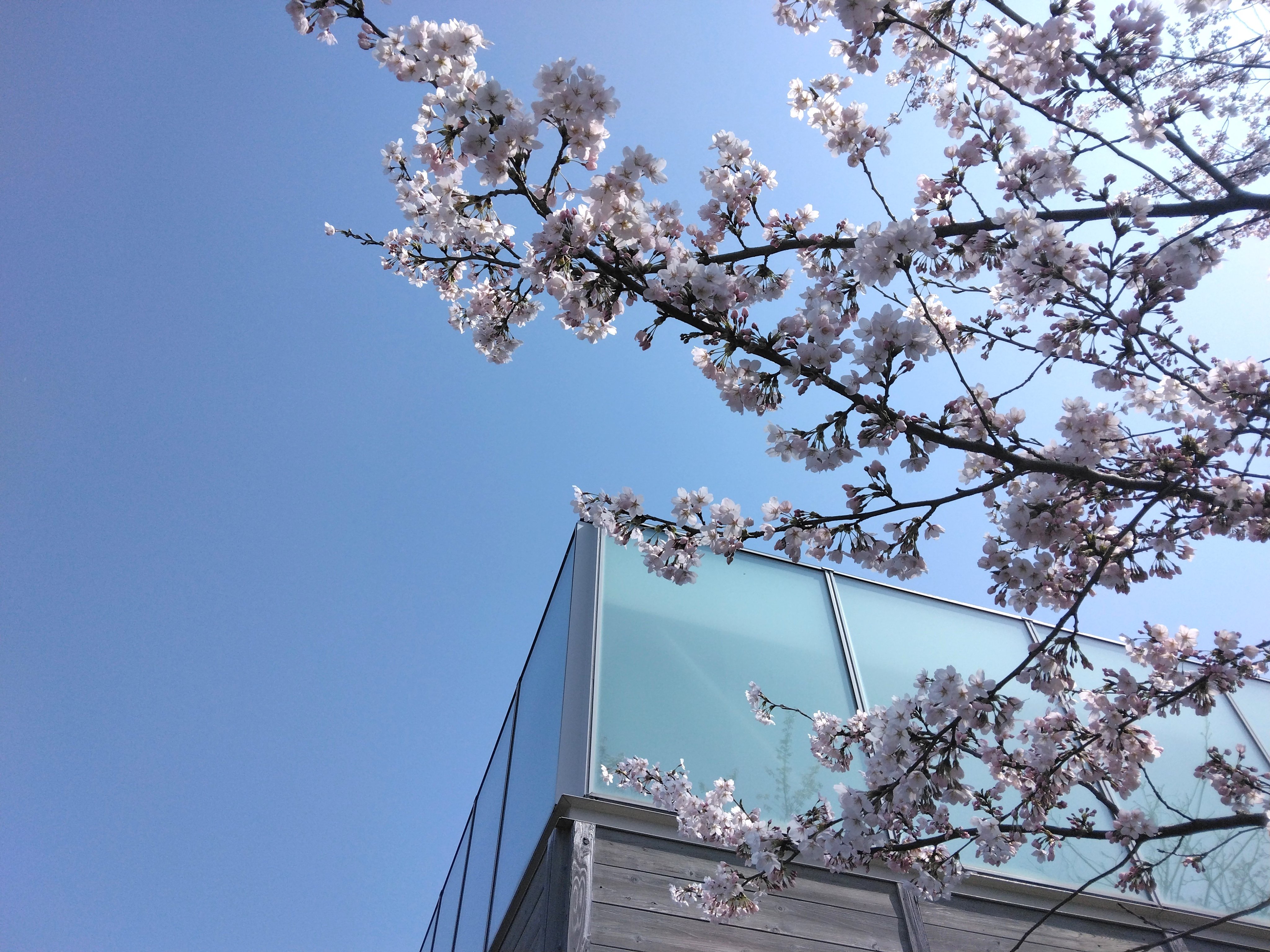 最上川美術館 (@mogamirivmuseum) / X 最上川美術館 (@mogamirivmuseum) / X
