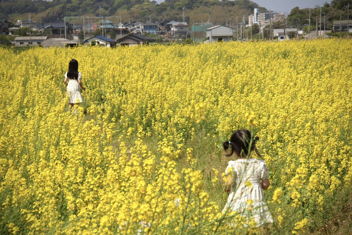 しょご@POPPIN GUMMY tweet media