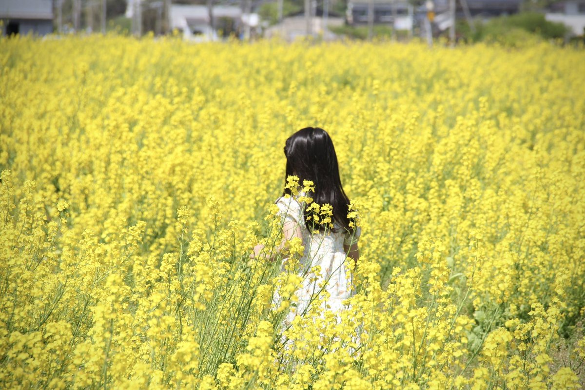 しょご@POPPIN GUMMY tweet media