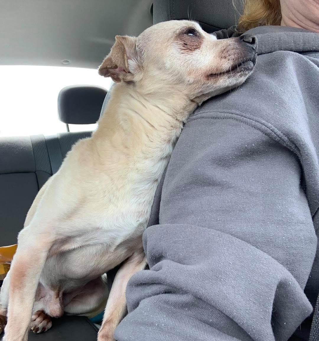 Memory from 2021

Axel: Mom..
In case you didn’t know already.. I love you