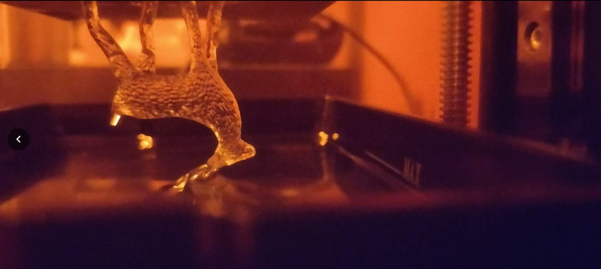 Picture that was taken during the printing of the deer