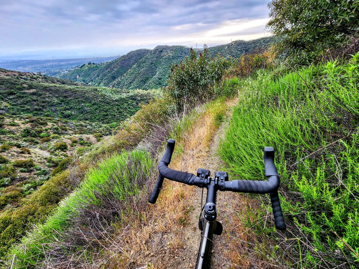 I have spent years in LA in my 20's and this is definitely the first time I've ridden in green hills.  Not a terrible view.