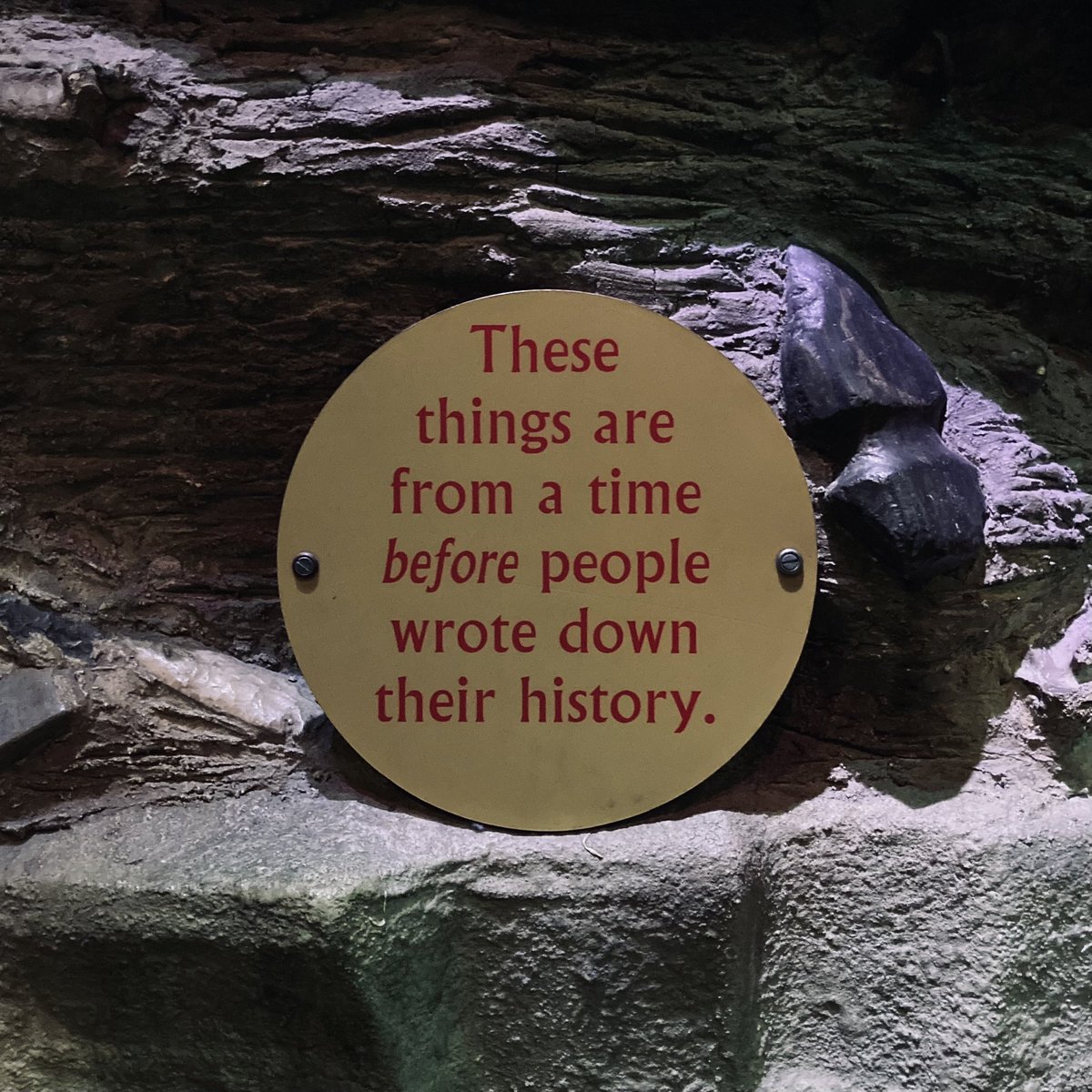 Common Name tweet media