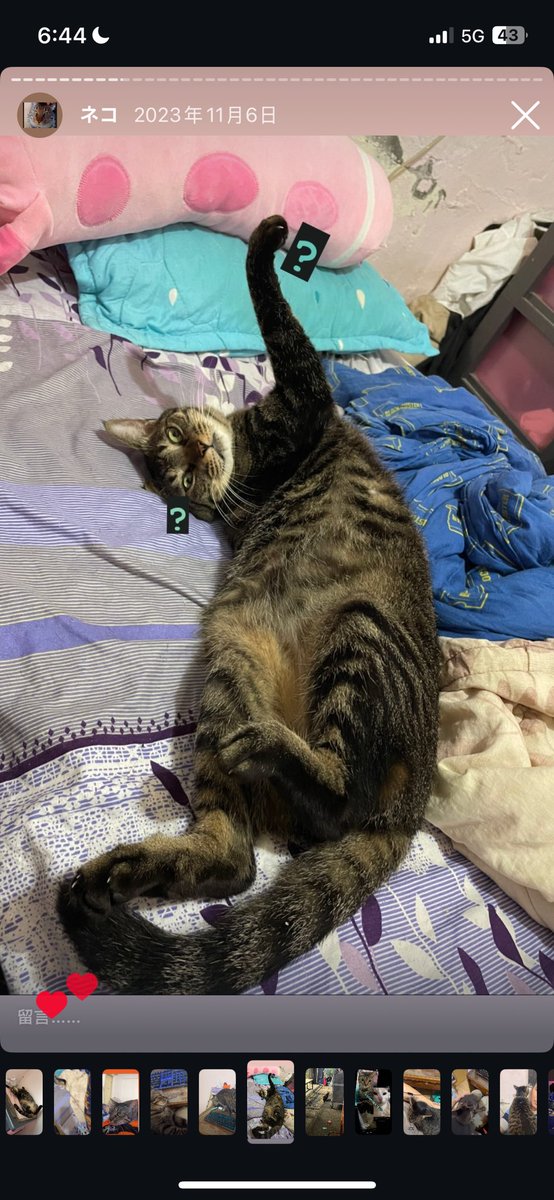 星期天約一個吃飯 #基隆 #台北