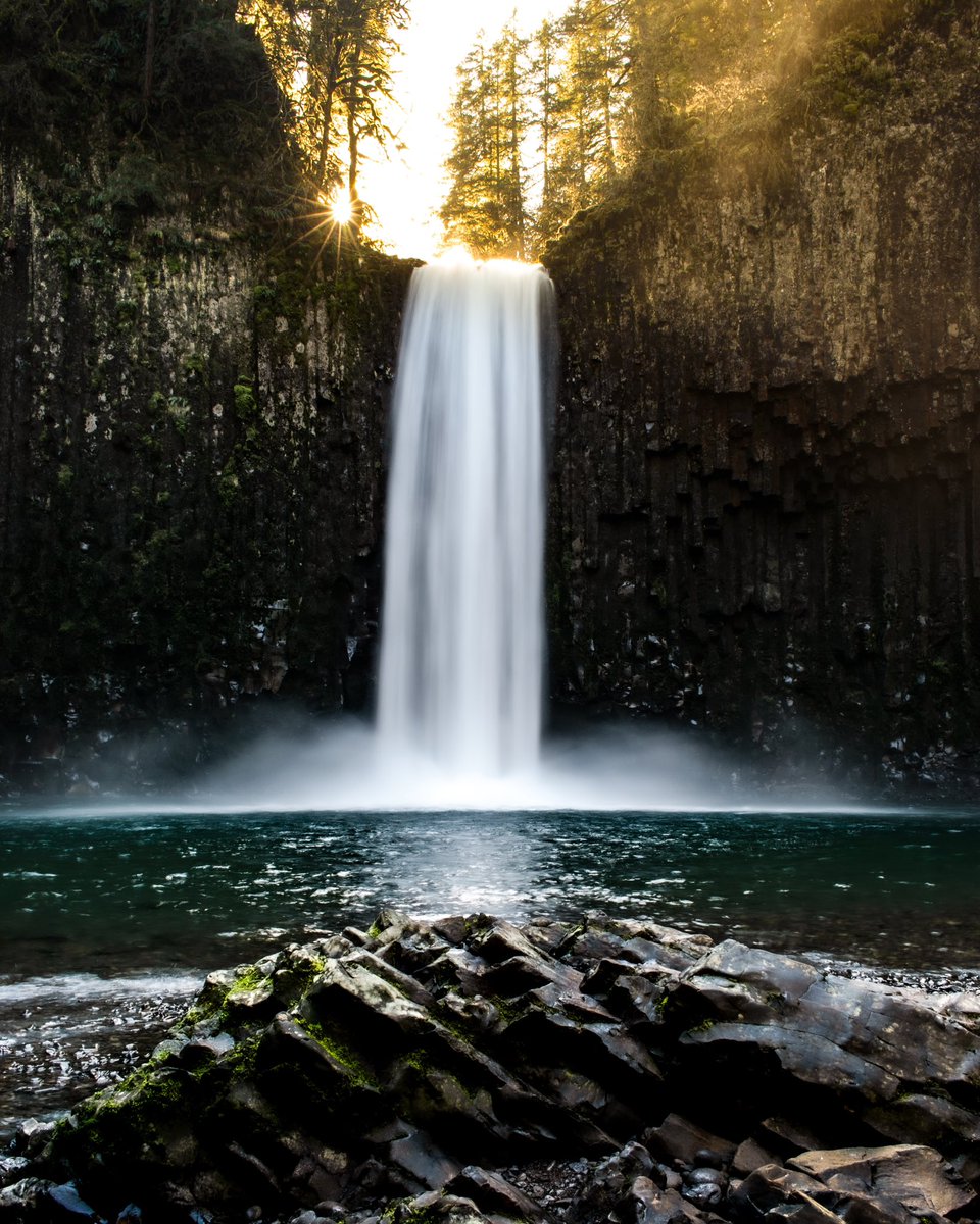 D U S T I N T A Y L O R (@dustintaylor_) on Twitter photo 