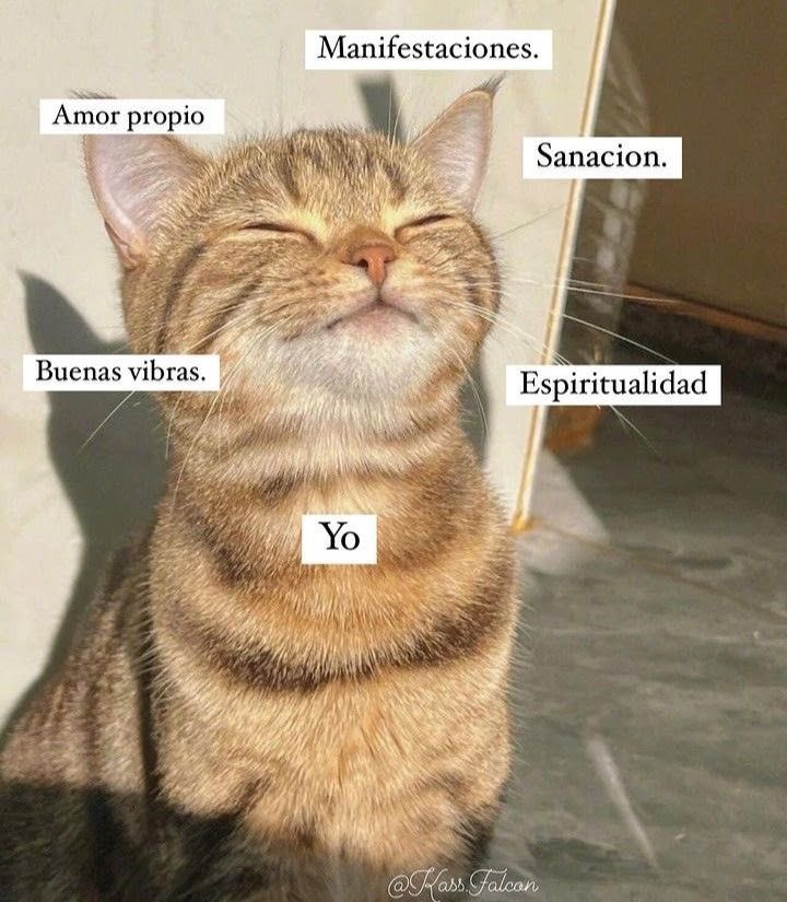 frasesfavor's tweet photo. Yo 🥺🐱 https://t.co/TsQNe3hUjq
