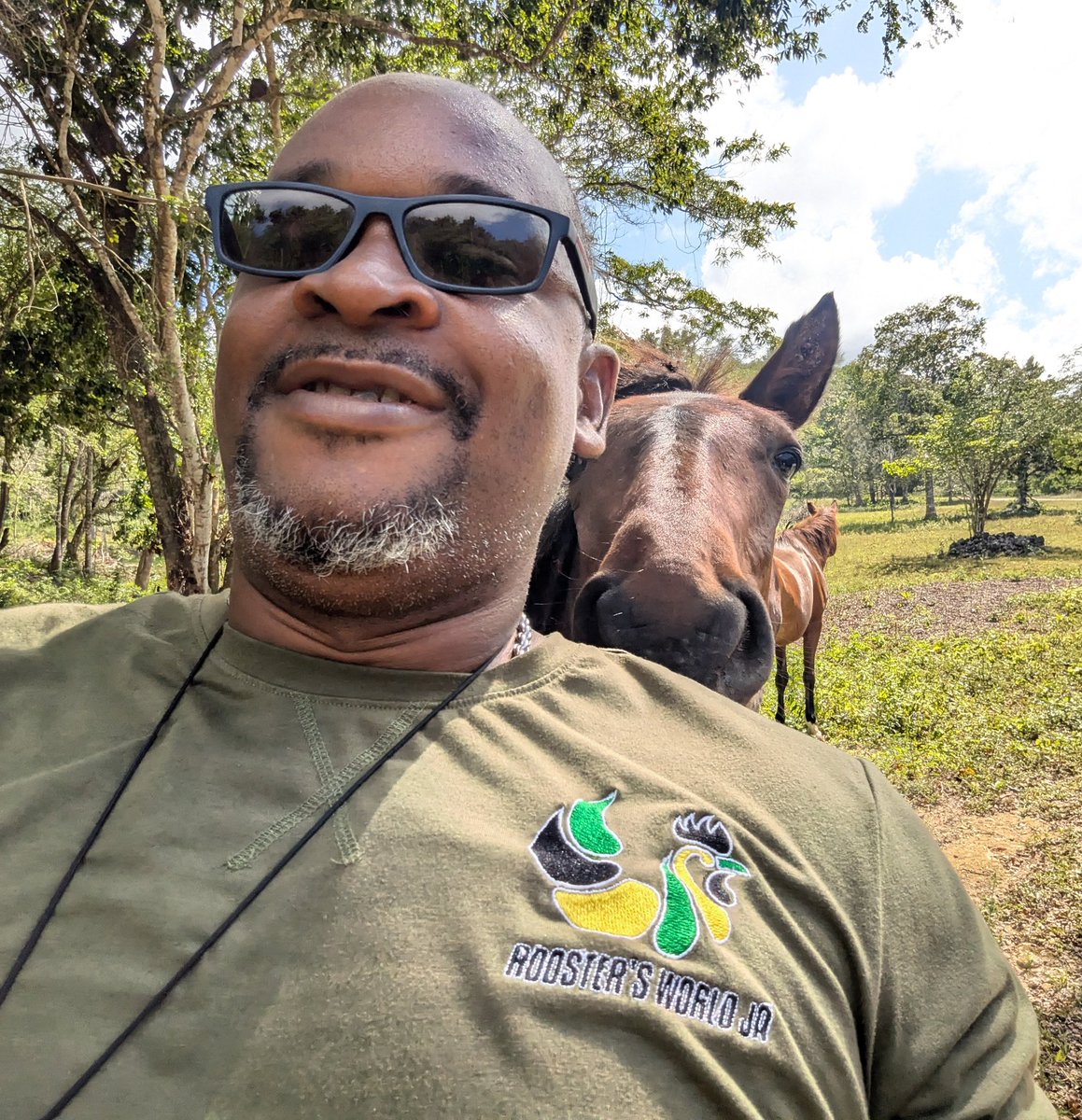 RoostersWorldja (@roostersworldja) on Twitter photo Somebody is horsing around here. I wonder who?
Follow <a href="/RoostersWorldja/">RoostersWorldja</a> to learn more about nature Somebody is horsing around here. I wonder who?
Follow <a href="/RoostersWorldja/">RoostersWorldja</a> to learn more about nature