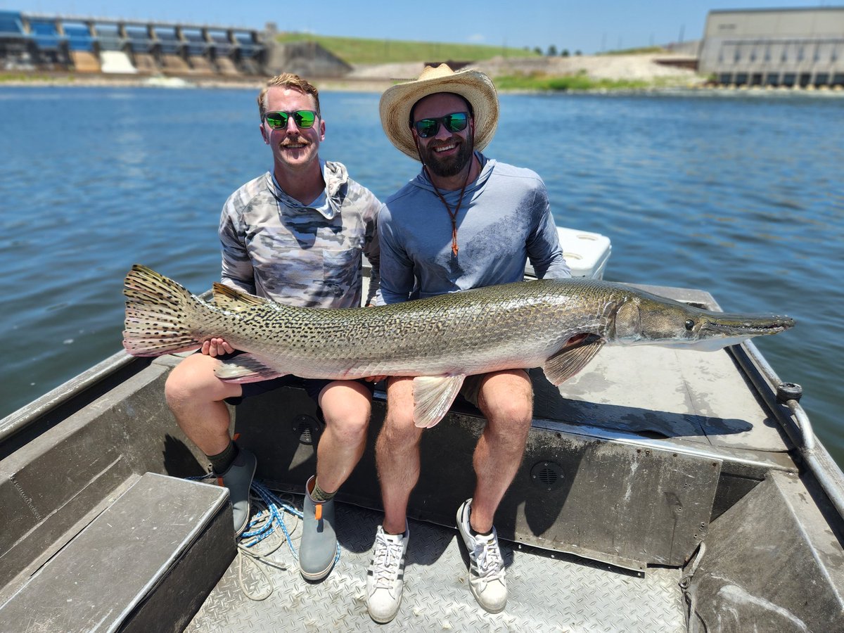 Between Two Falls tweet media