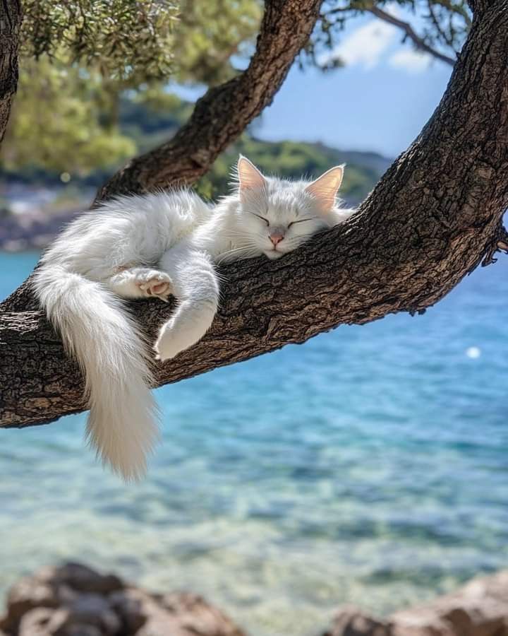 vivaneil (@vivaneil1234) on Twitter photo 