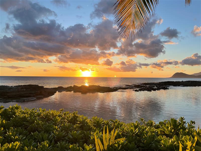 Bank of Hawaii tweet media