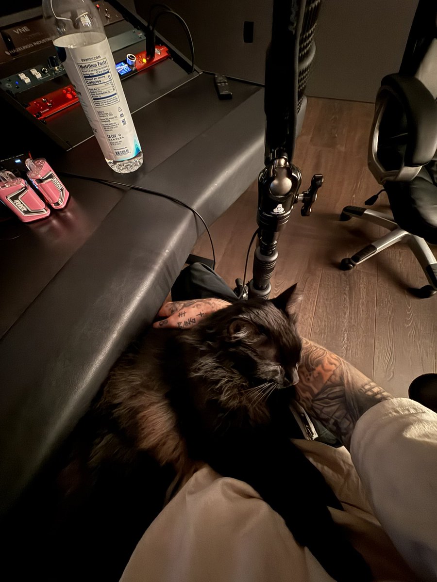PET MY CAT WHILE IM RECORDING

NO CAPPPPP