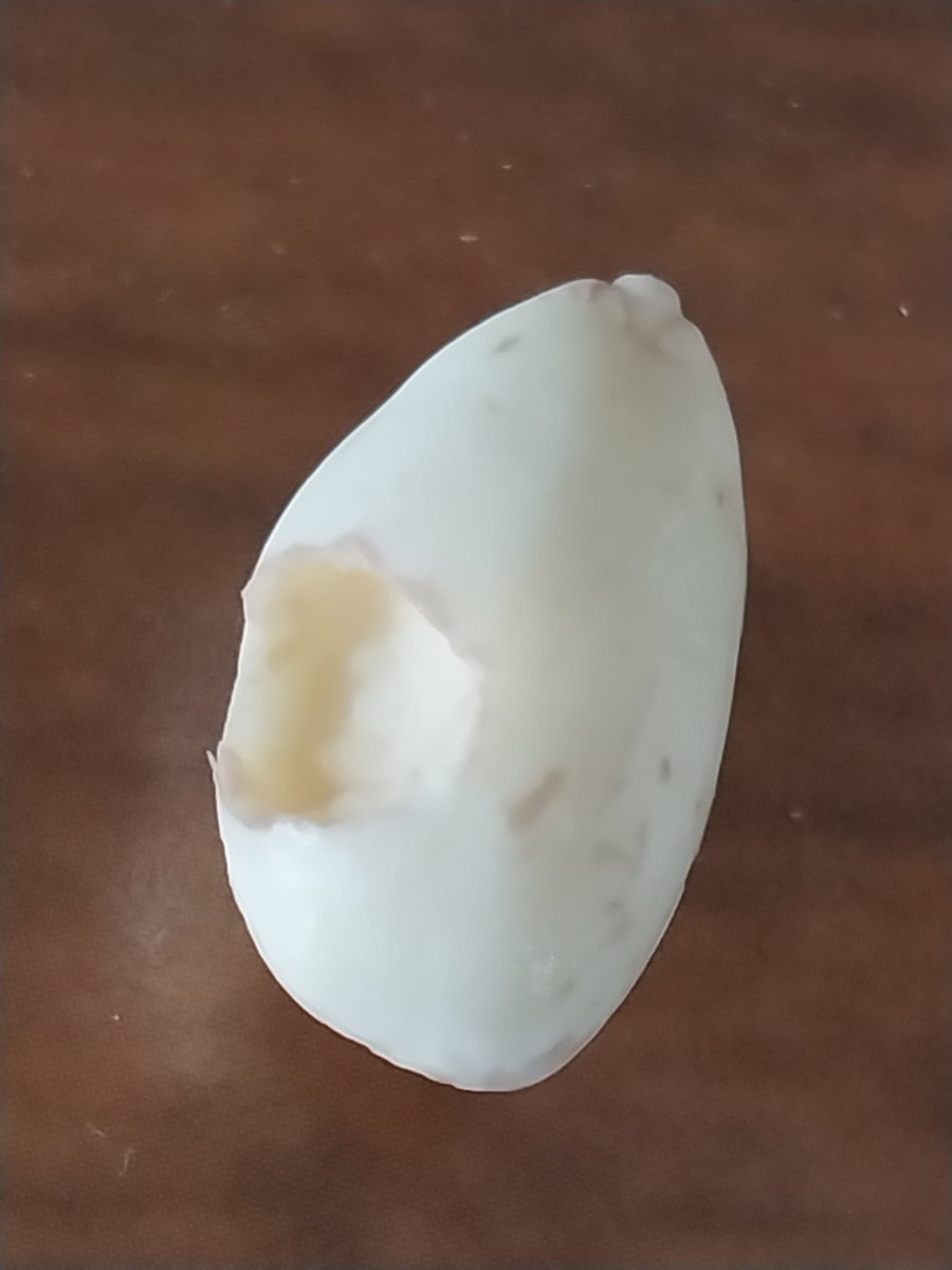 ManoharPandit's tweet photo. Another one Premium Almond from Happilo. https://t.co/McOP80biRX