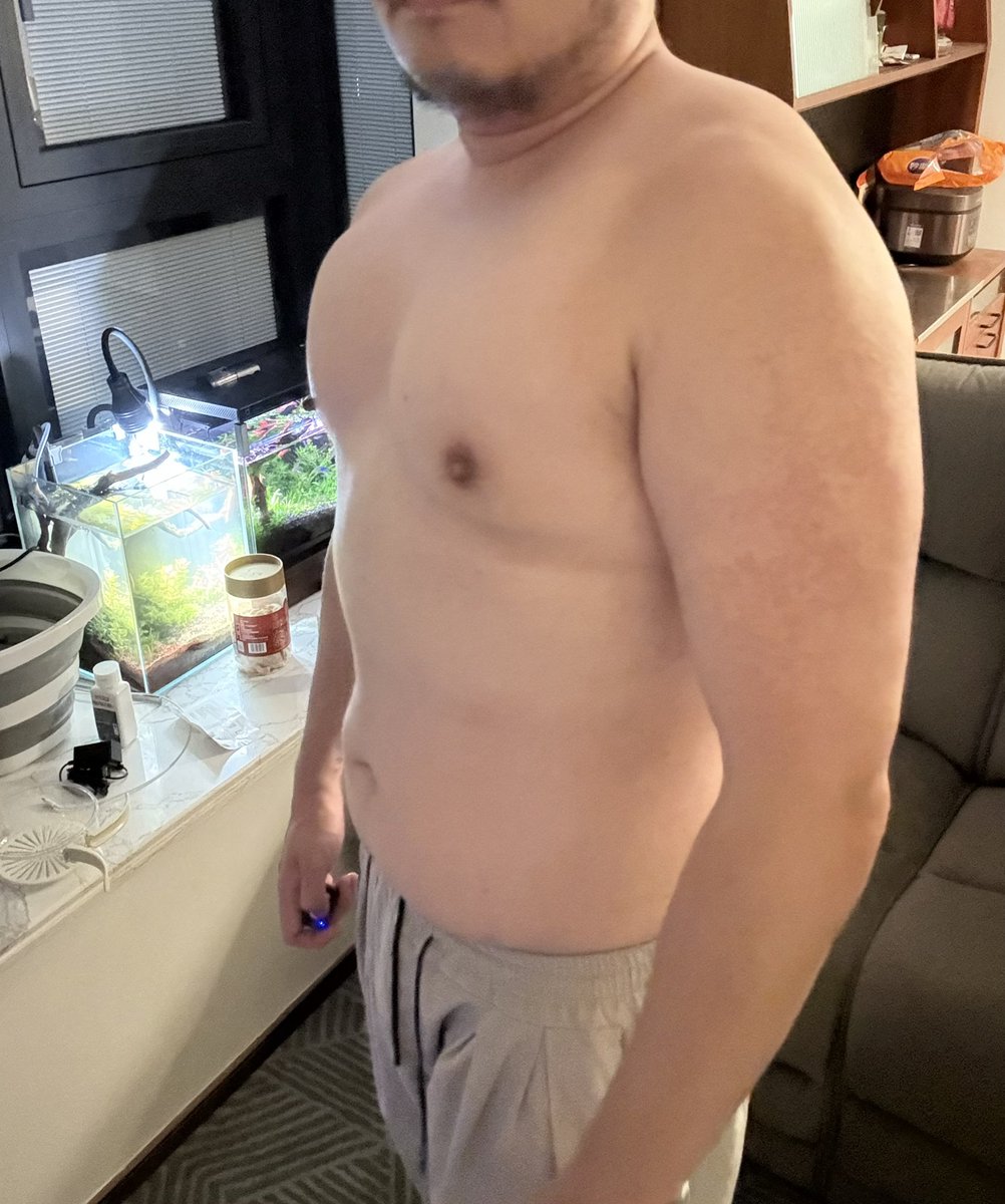 馄饨 上海 熊 shanghai 🐻 (@huntunbear) on Twitter photo 