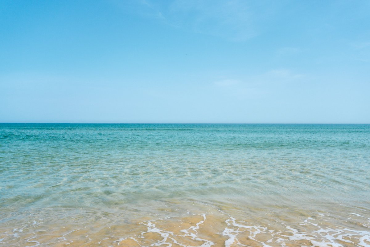 shintake_photo's tweet image. Seaside Walk