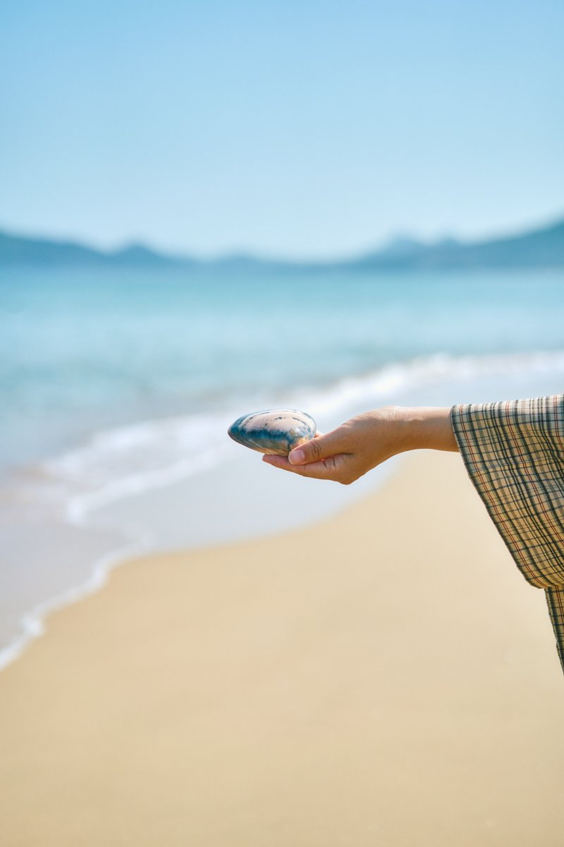 shintake_photo's tweet image. Seaside Walk