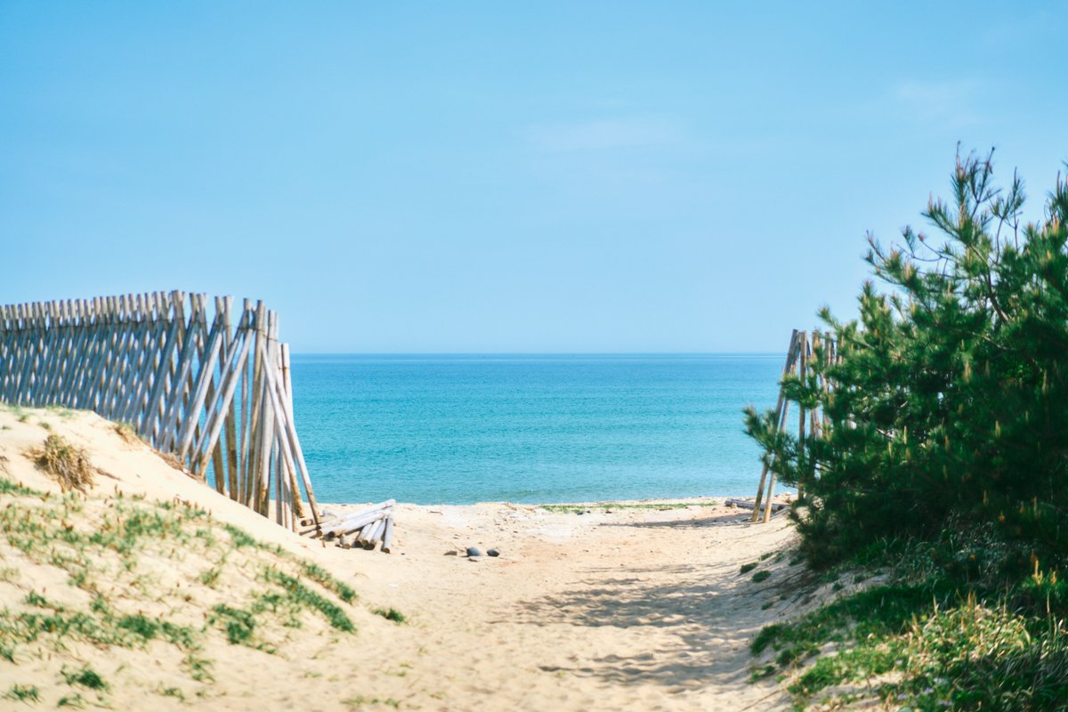 shintake_photo's tweet image. Seaside Walk