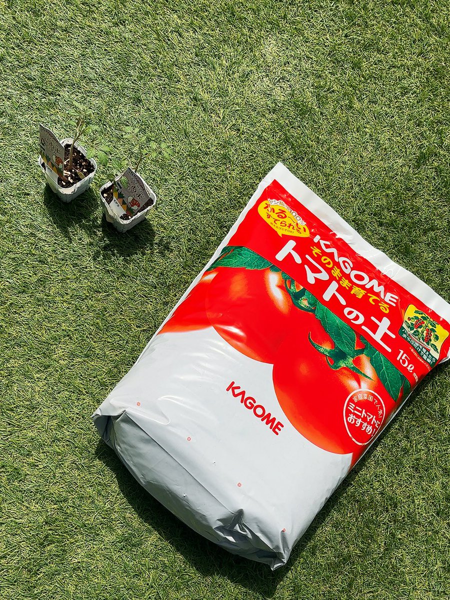 yukari_korori's tweet photo. カゴメのキャンペーンでこあまちゃん届きました🍅
前回はあんまりうまく育てられなかったので今回はベランダとそのまま育てるトマトの土で頑張って育てる💪

#当選報告 #ゆかりん当選報告 #懸賞垢フォロバ100 #PR https://t.co/vOBvYz2H5Y