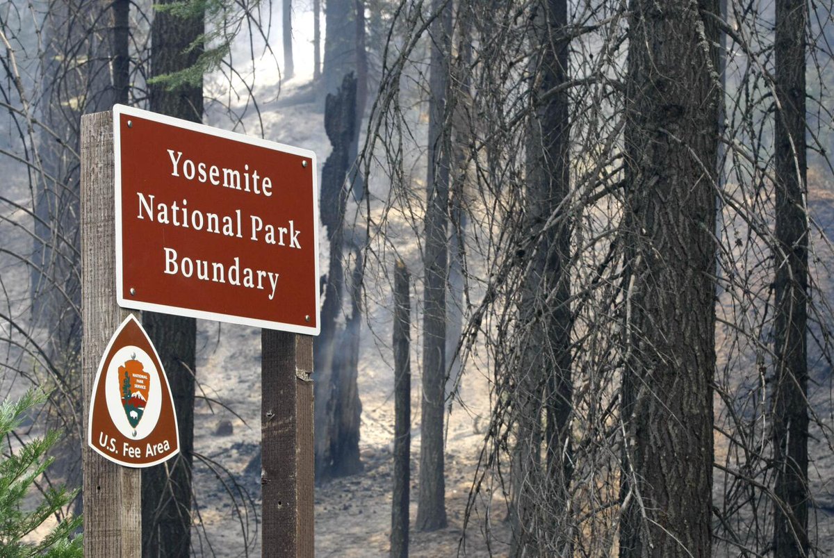 Los Angeles Times (@latimes) on Twitter photo Letters to the Editor: Don't mourn the Rim fire — learn from it (via <a href="/latimesopinion/">L.A. Times Opinion</a>) latimes.com/opinion/letter… Letters to the Editor: Don't mourn the Rim fire — learn from it (via <a href="/latimesopinion/">L.A. Times Opinion</a>) latimes.com/opinion/letter…