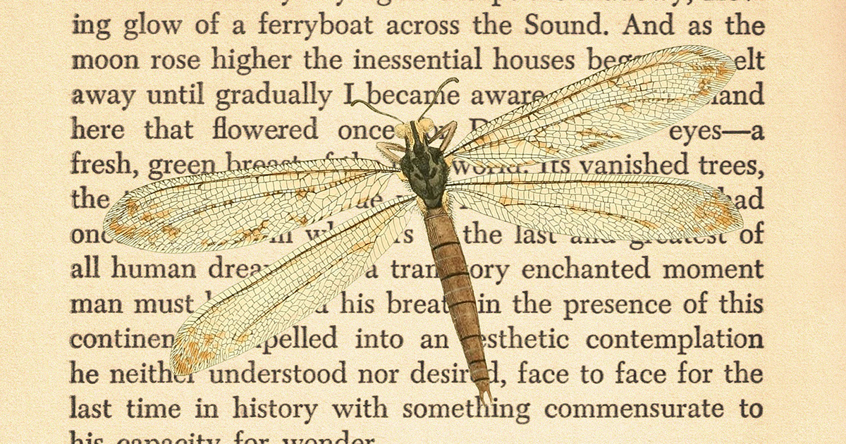 A set of 14 free printable vintage dragonfly wall art pieces! Each one features a different vintage paper and vintage dragonfly illustration. Great for homes, offices, classrooms, and libraries. bit.ly/vintagedragonf… #freeprintables #vintageprintables #printablewallart