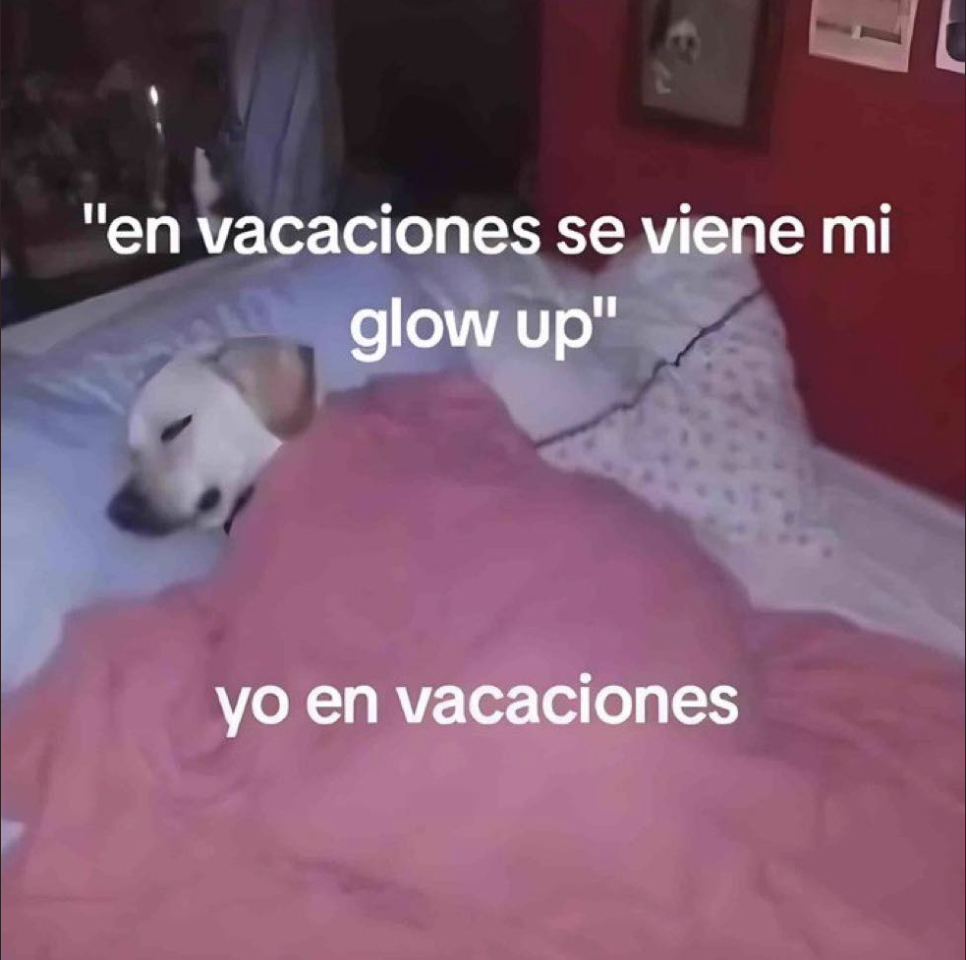 Guarromantico_'s tweet photo. Asies. https://t.co/RVZr0eJooS