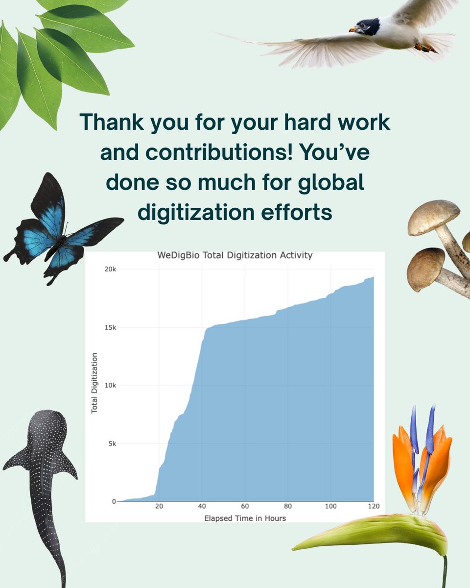 WeDigBio (@wedigbio) on Twitter photo Check out your results from all around the world! Be sure to send us your pictures from your events and don't forget that the fun doesn't have to stop here, digitization can be done from anywhere in the world! Check out the link in our bio to learn more 🌿🦋🍄 #communityscience Check out your results from all around the world! Be sure to send us your pictures from your events and don't forget that the fun doesn't have to stop here, digitization can be done from anywhere in the world! Check out the link in our bio to learn more 🌿🦋🍄 #communityscience