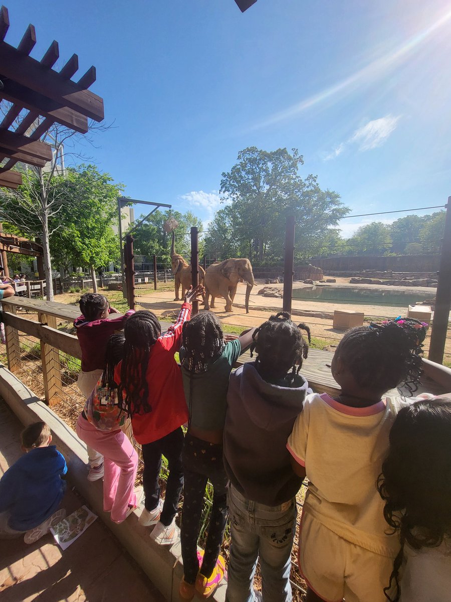 BeverlyDBaldwin's tweet photo. Lions and Tigers and bears, OH MY! Kindergarten field trip to the Zoo was a treat! Kiddos were excited from start to finish! 🦍🦓🦏🐘🦒🦩🐢🐍🐸 @RandolphDolphin https://t.co/qA9kL46ViW