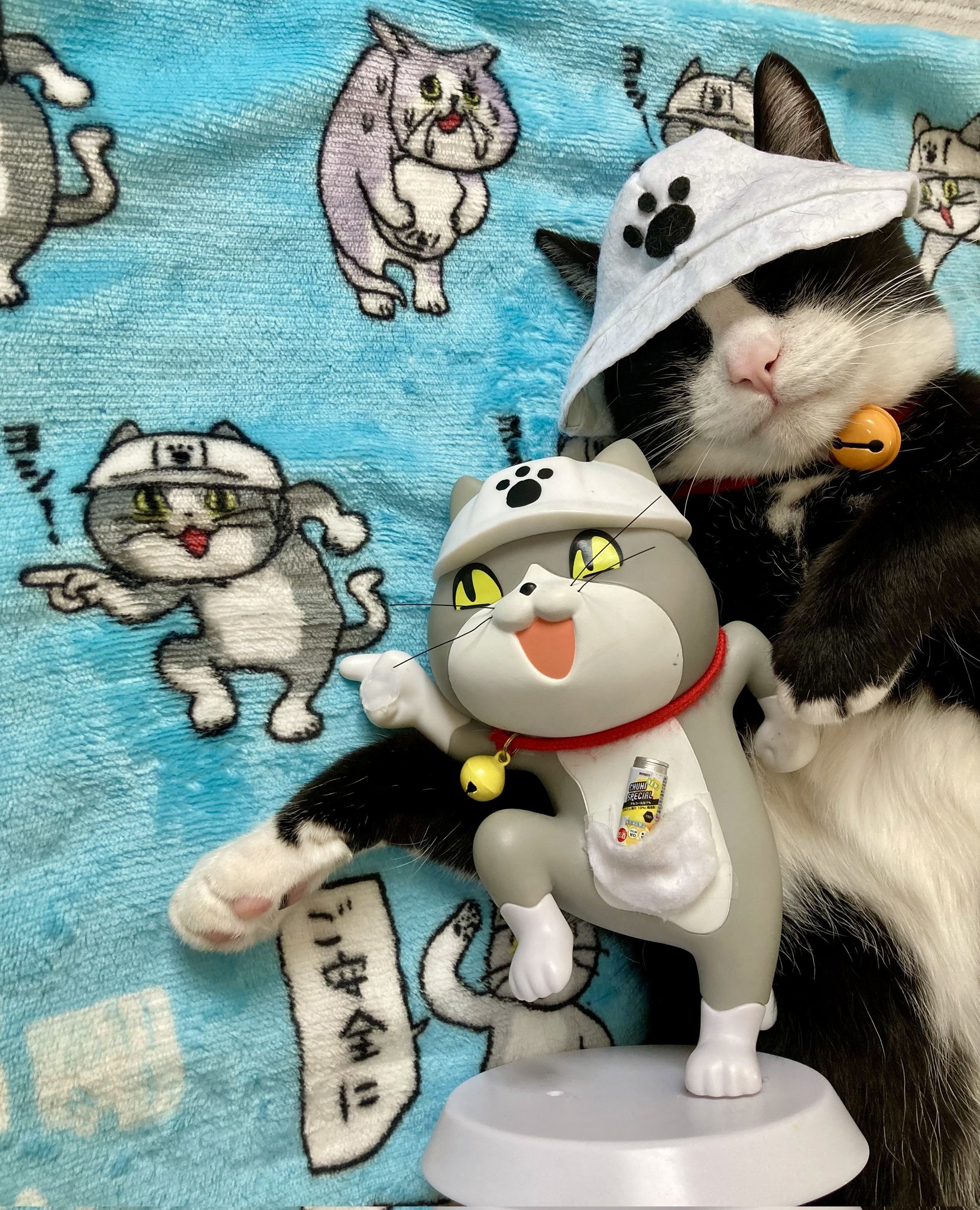 【人気ショップが最安値挑戦！】 現場猫 X / Search - その他