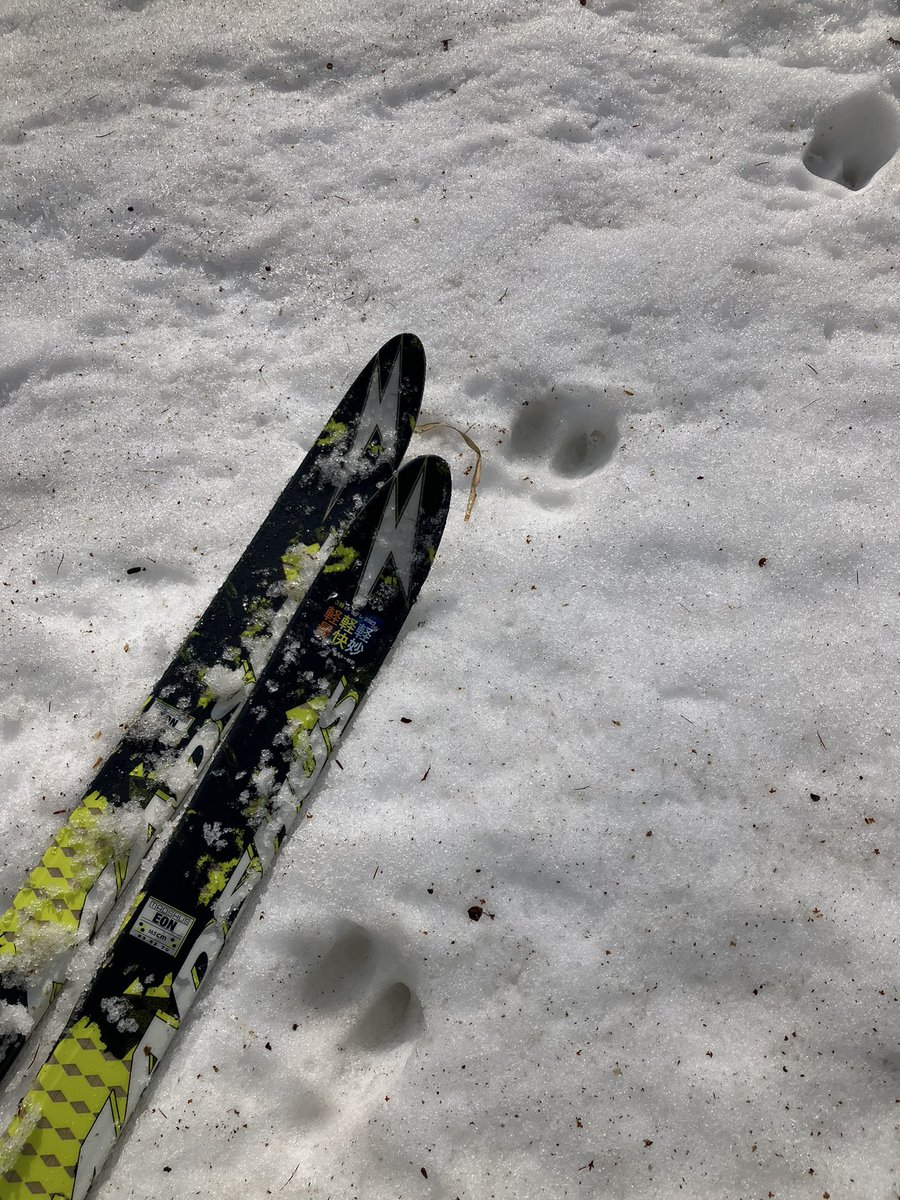 3週間ぶりスキー