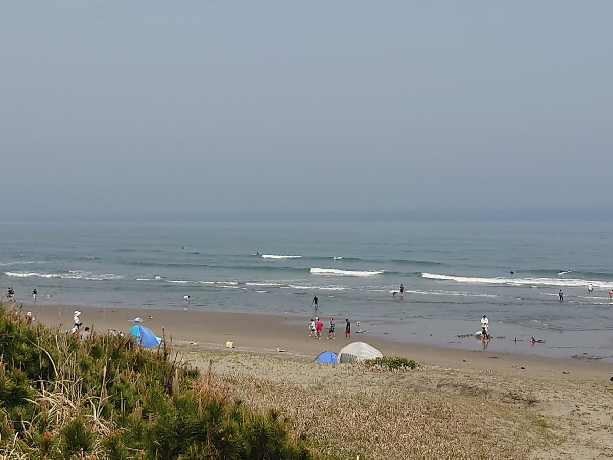 T2C_C tweet picture